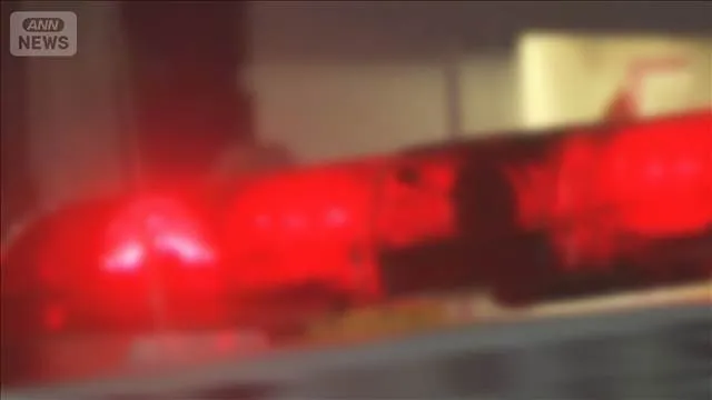 Hình ảnh về vụ gian lận thẻ bài