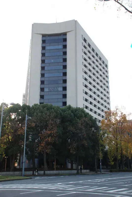 Anh trai Việt chỉ đạo em trộm hàng hiệu thuốc Nhật