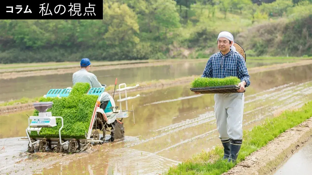 Chính sách Nông nghiệp, 'Không' Chính sách và Quốc sách