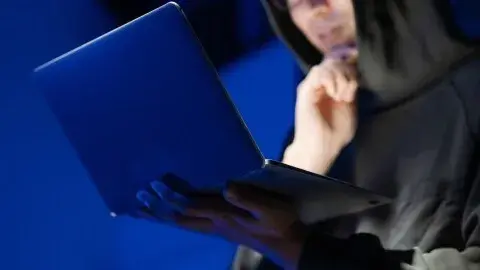 Nhật Lệnh Bắt Kẻ Chỉ Đạo Trộm Từ Việt Nam