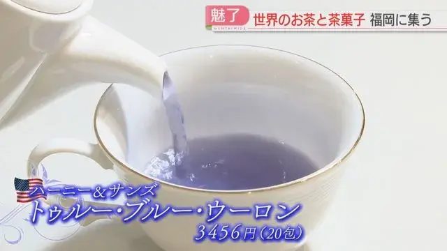 Lễ hội trà HAKATA 47 thương hiệu từ 10 quốc gia