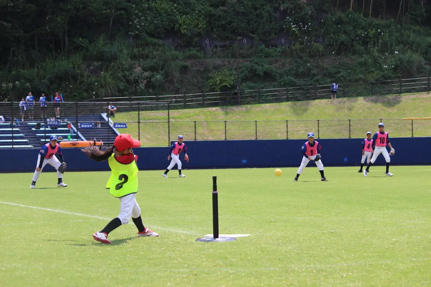 T-Ball lan rộng châu Á Bóng chày chuyên nghiệp Mông Cổ?