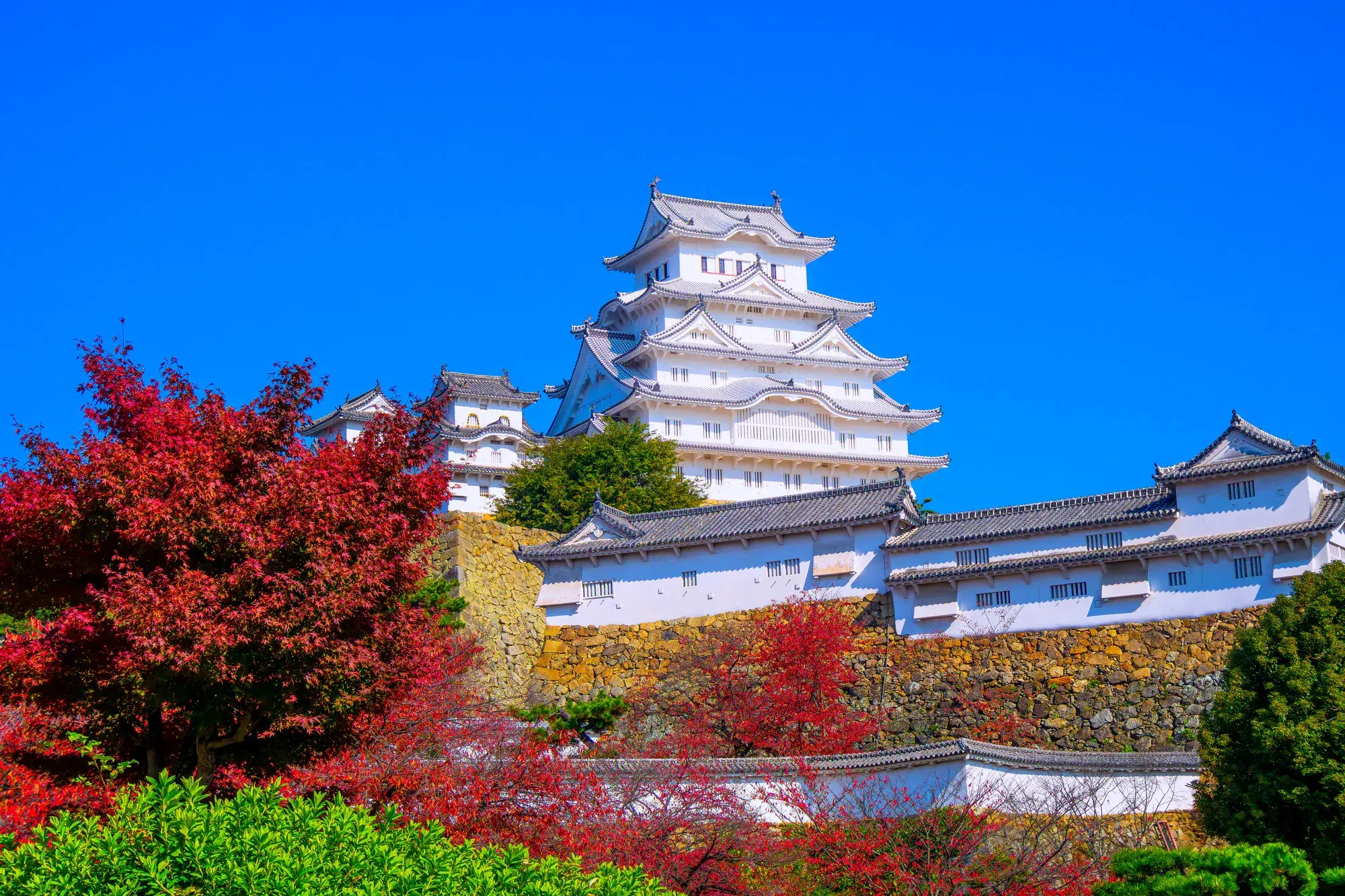 Cổ phiếu Yamato Kogyo tăng mạnh giữa ngành thép khó khăn